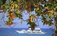 Zdjęcia z wyjazdu na Filipiny