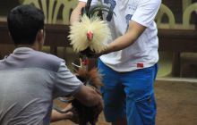 Zdjęcia z wyjazdu na Filipiny