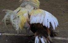 Zdjęcia z wyjazdu na Filipiny