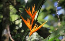 Zdjęcia z wyjazdu na Filipiny