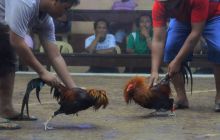 Zdjęcia z wyjazdu na Filipiny