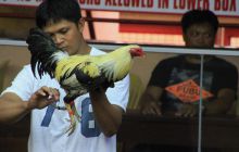 Zdjęcia z wyjazdu na Filipiny