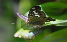 Zdjęcia z wyjazdu na Filipiny