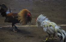 Zdjęcia z wyjazdu na Filipiny