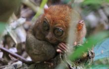 Zdjęcia z wyjazdu na Filipiny