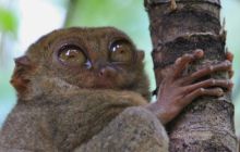 Zdjęcia z wyjazdu na Filipiny