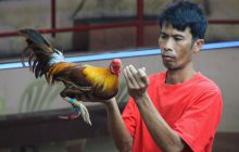 Zdjęcia z wyjazdu na Filipiny