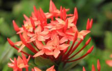 Zdjęcia z wyjazdu na Filipiny