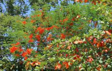 Zdjęcia z wyjazdu na Filipiny