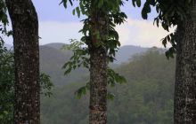 Zdjęcia z wyjazdu na Filipiny