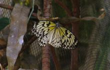 Zdjęcia z wyjazdu na Filipiny