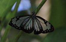 Zdjęcia z wyjazdu na Filipiny