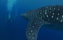 Zdjęcia z wyjazdu na Filipiny