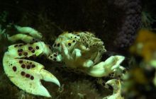 Zdjęcia z wyjazdu na Filipiny