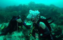 Zdjęcia z wyjazdu na Filipiny