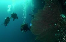 Zdjęcia z wyjazdu na Filipiny