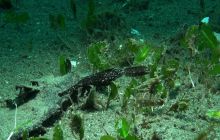 Zdjęcia z wyjazdu na Filipiny