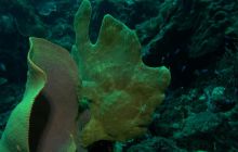 Zdjęcia z wyjazdu na Filipiny