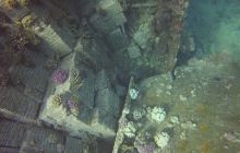 Zdjęcia z Safari Nurkowego w Egipcie