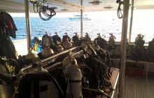 Zdjęcia z Safari Nurkowego w Egipcie