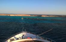 Zdjęcia z Safari Nurkowego w Egipcie