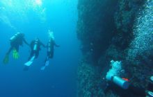 Zdjęcia z Safari Nurkowego w Egipcie