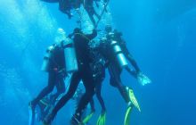 Zdjęcia z Safari Nurkowego w Egipcie