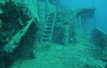 Zdjęcia z Safari Nurkowego w Egipcie