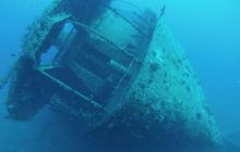 Zdjęcia z Safari Nurkowego w Egipcie