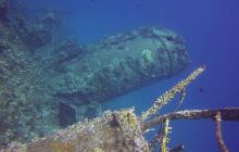 Zdjęcia z Safari Nurkowego w Egipcie