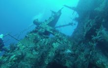 Zdjęcia z Safari Nurkowego w Egipcie