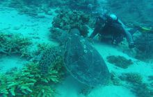 Zdjęcia z Safari Nurkowego w Egipcie