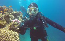 Zdjęcia z Safari Nurkowego w Egipcie