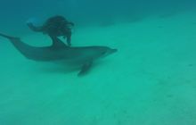 Zdjęcia z Safari Nurkowego w Egipcie