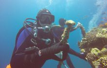 Zdjęcia z Safari Nurkowego w Egipcie