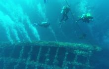 Zdjęcia z Safari Nurkowego w Egipcie