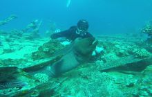 Zdjęcia z Safari Nurkowego w Egipcie