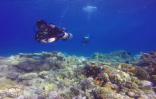 Zdjęcia z Safari Nurkowego w Egipcie