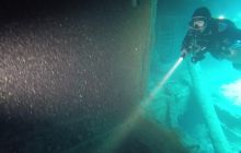 Zdjęcia z Safari Nurkowego w Egipcie