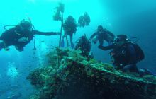 Zdjęcia z Safari Nurkowego w Egipcie