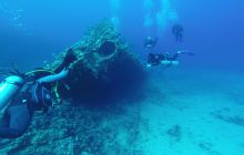 Zdjęcia z Safari Nurkowego w Egipcie