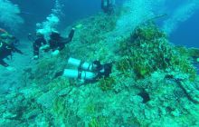 Zdjęcia z Safari Nurkowego w Egipcie