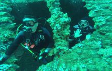 Zdjęcia z Safari Nurkowego w Egipcie