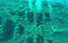 Zdjęcia z Safari Nurkowego w Egipcie