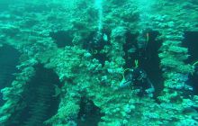 Zdjęcia z Safari Nurkowego w Egipcie