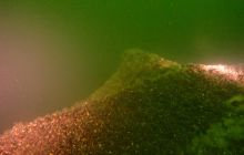 Wrakowe wypłynięcie Pogłębiarka i Tankowiec 19 czerwca 2016