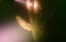 Wrakowe wypłynięcie Pogłębiarka i Tankowiec 19 czerwca 2016