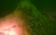 Wrakowe wypłynięcie Pogłębiarka i Tankowiec 19 czerwca 2016