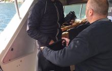 Zdjecia z wyjazdu do Bergen