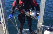 Zdjecia z wyjazdu do Bergen